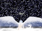 Neon Genesis Evangelion, anioł, wings
