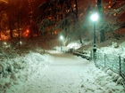 Śnieg, Zima, Park