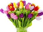 Kolorowe, Tulipany, W, Wazonie