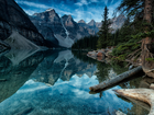 Jezioro, Góry, Lasy, Banff, Alberta, Kanada