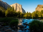 Park Narodowy Yosemite, Góry Sierra Nevada, Las, Dolina, Rzeki