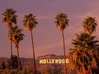 Kalifornia, Hollywood, Palmy