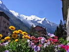 Góry, Domy, Kwiaty, Chamonix