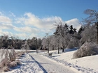 Zima, Park, Ławeczka