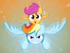 Rainbow Dash, Scootaloo