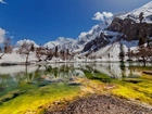 Góry, Jezioro, Dolina, Naltar, Zima, Pakistan