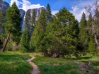 Góry, Las, Yosemite, Kalifornia