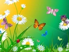Kwiaty, Motylki, Biedronka