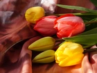 Bukiet, Tulipany, Kolorowe, Żółte, Czerwone