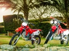 Dwa, Motocykle, Honda XR, Palmy, Kamienie