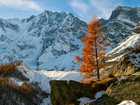 Góry, Śnieg, Kamienie, Skały, Drzewa, Jesień