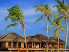 Malediwy, Hoteliki, Palmy, Morze