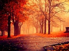 Jesień, Park, Alejki, Drzewa