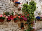 Dom, Ściana, Kwiaty, Begonia, Petunie, Pelargonie, Donice