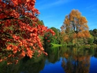 Park, Staw, Jesień, Kolorowe Drzewa