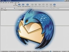 Thunderbird, koperta, grafika, ptak