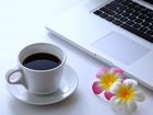Kawa, Kwiat, Laptop