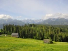 Polska, Tatry, Góry, Zakopane