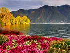 Jesień, Góry, Jezioro, Kolorowe, Kwiaty