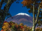 Góra, Fuji, Drzewa, Japonia, Wulkan
