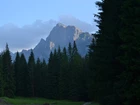 Tatry, Dolina Białej Wody, Góry, Las