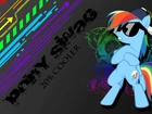 My Little Pony, Rainbow Dash, swag, 20% coller