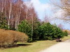 Park, Ścieżka, Drzewa