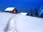Zima, Dom, Ośnieżone Drzewa, Ścieżka, Śnieg