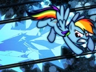 My Little Pony, Rainbow Dash