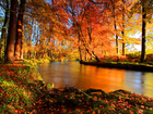 Jesień, Las, Rzeka, Drzewa, Liście, Przebijające, Slońce