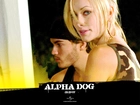 Olivia Wilde, Alpha Dog, Emile Hirsch