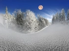 Zima, Śnieg, Księżyc, Drzewa