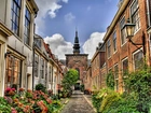 Miasto, Roślinność, HDR