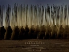 Alexander, armia, dzidy