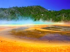 Stany Zjednoczone, Park Narodowy Yellowstone, Gorące źródło, Opary, Las, Wzgórze