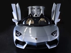 Lamborghini, Aventador, LP 700-4, Roadster