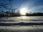 Pole, Śnieg, Drzewa, Słońce