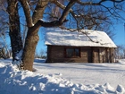 Zima, Śnieg, Drzewo, Stary, Dom