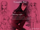 Fate Stay Night, tousaka, rin, dziewczyna, kobiety, szkic, napisy