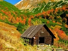 Jesień, Góry, Drewniana, Chata