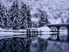 Zima, Rzeka, Most, Ośnieżone, Drzewa, Śnieg