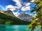 Góry, Lasy, Jezioro, Park Narodowy Banff, Kanada