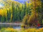 Jesień, Las, Jezioro, Mgła