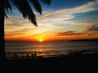 Zachód słońca, Palmy, Morze, Riwiera Nayarita