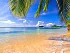 Plaża, Morze, Palmy, Wyspy, Tropiki