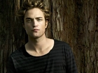 Mężczyzna, Aktor, Robert Pattinson