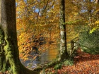 Jesień, Rzeka, Las, Drzewa, Liście