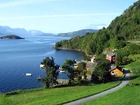 Hardangerfjord, Domy, Droga, Zalesione, Wzgórza