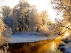 Zima, Rzeka, Drzewa