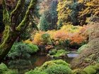 Japoński, Ogród, Staw, Mostek, Park, Portland, Oregon